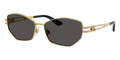Dolce&Gabbana DG2338 02/87 Sunglasses