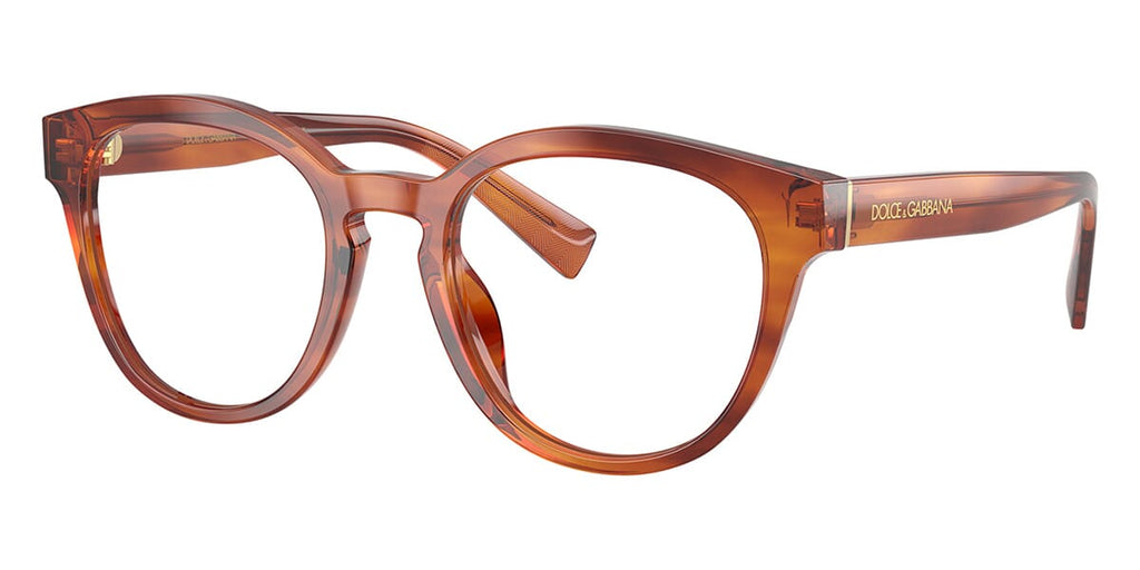 Dolce&Gabbana DG3421 3221 Glasses