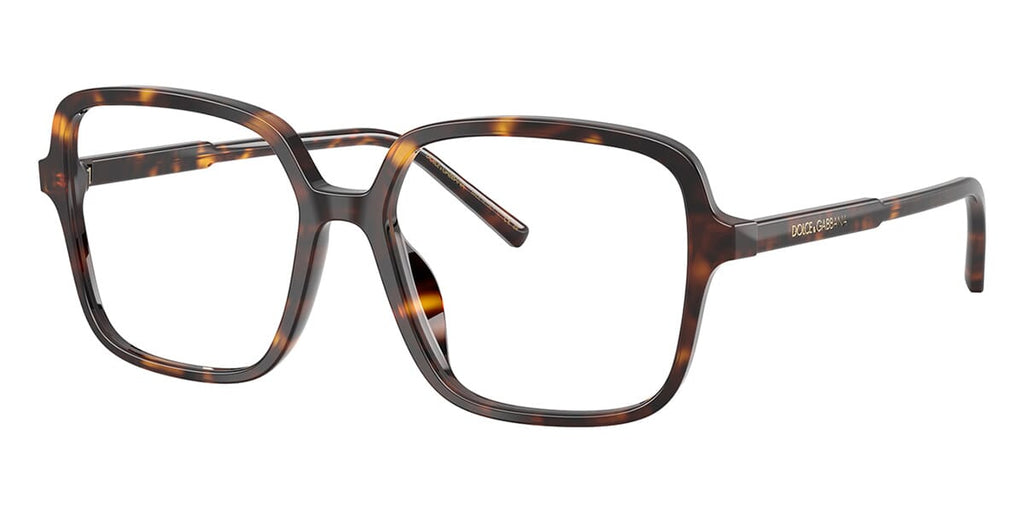 Dolce&Gabbana DG3442 502 Glasses