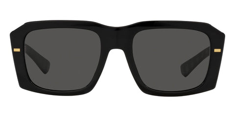 Dolce&Gabbana DG4430 501/87 Sunglasses