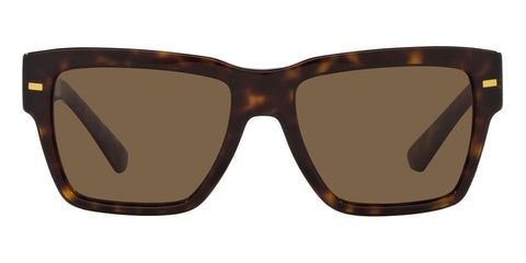 Dolce&Gabbana DG4431 502/73 Sunglasses