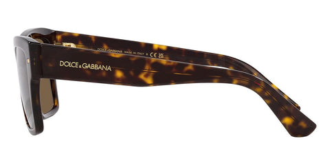 Dolce&Gabbana DG4431 502/73 Sunglasses