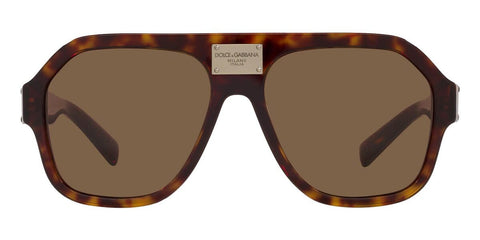 Dolce&Gabbana DG4433 502/73 Sunglasses