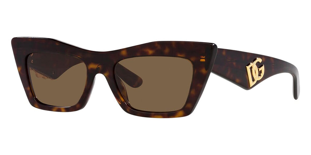 Dolce&Gabbana DG4435 502/73 Sunglasses