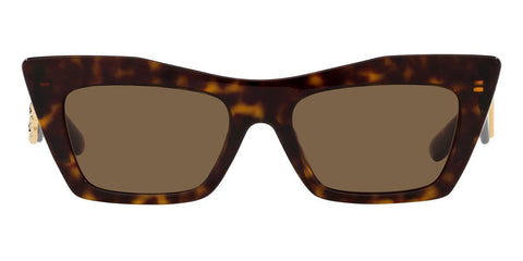 Dolce&Gabbana DG4435 502/73 Sunglasses