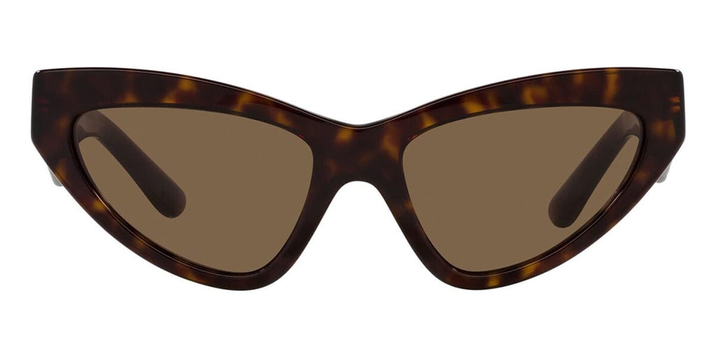 dolce-and-gabbana-dg4439-50273  display picture 1