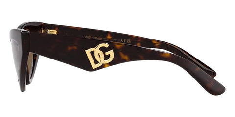Dolce&Gabbana DG4439 502/73 Sunglasses