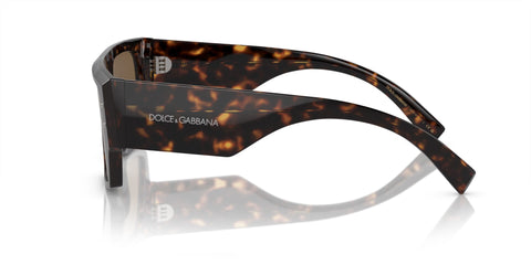 Dolce&Gabbana DG4459 502/73 Sunglasses