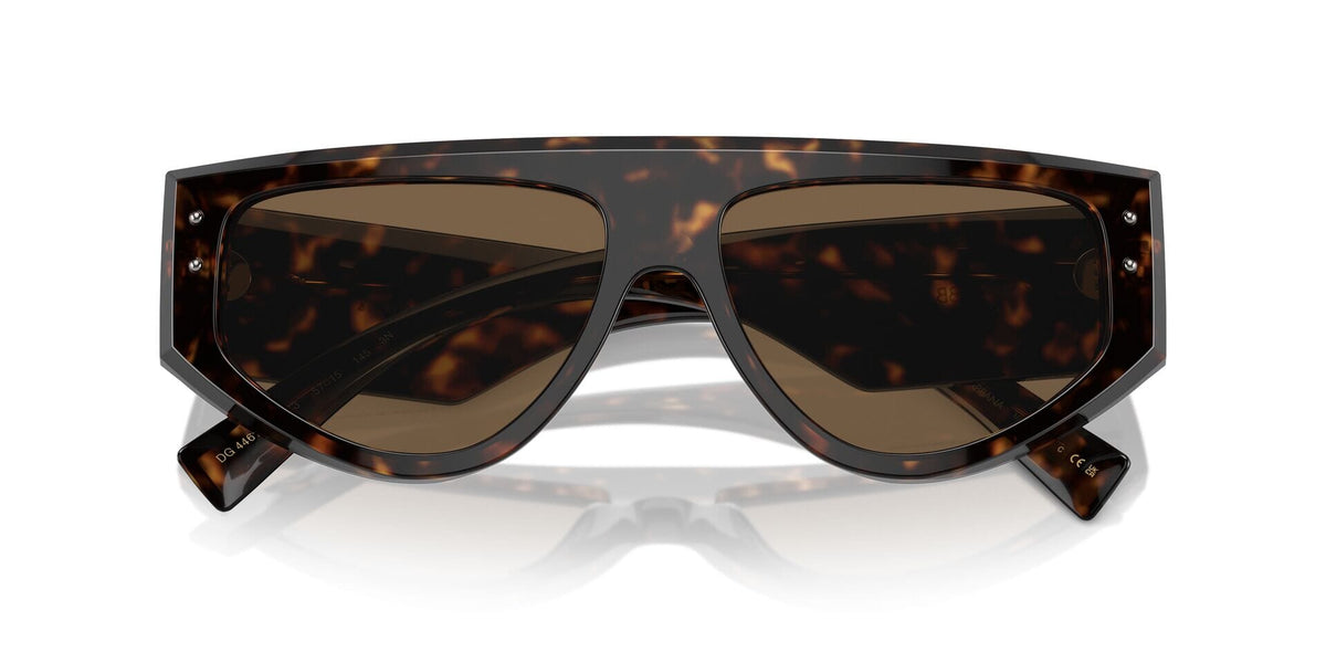 Dolce&Gabbana DG4461 502/73 Sunglasses