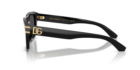 Dolce&Gabbana DG4496 501/87 Sunglasses