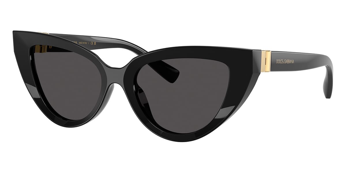 Dolce&Gabbana DG4497 501/87 Sunglasses
