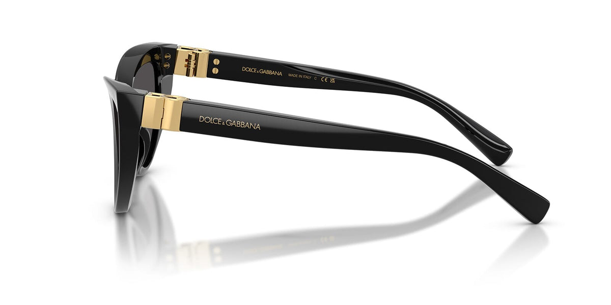 Dolce&Gabbana DG4497 501/87 Sunglasses