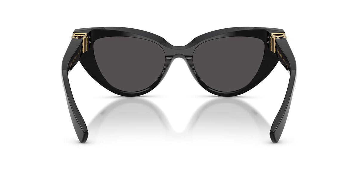 Dolce&Gabbana DG4497 501/87 Sunglasses