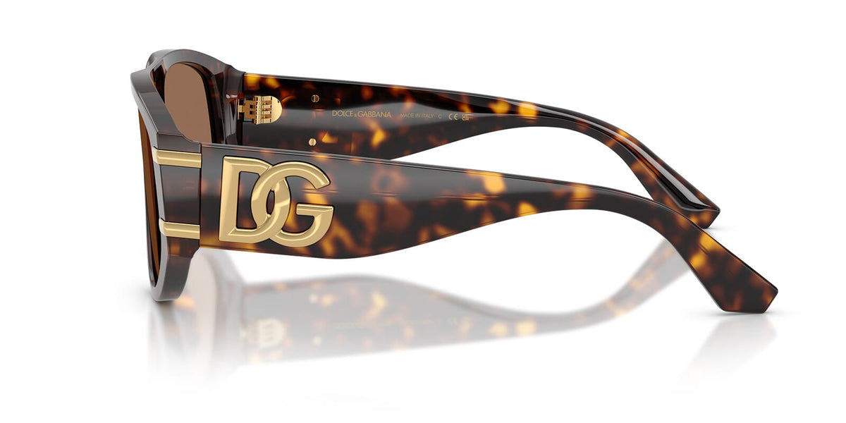 Dolce&Gabbana DG4499 502/73 Sunglasses