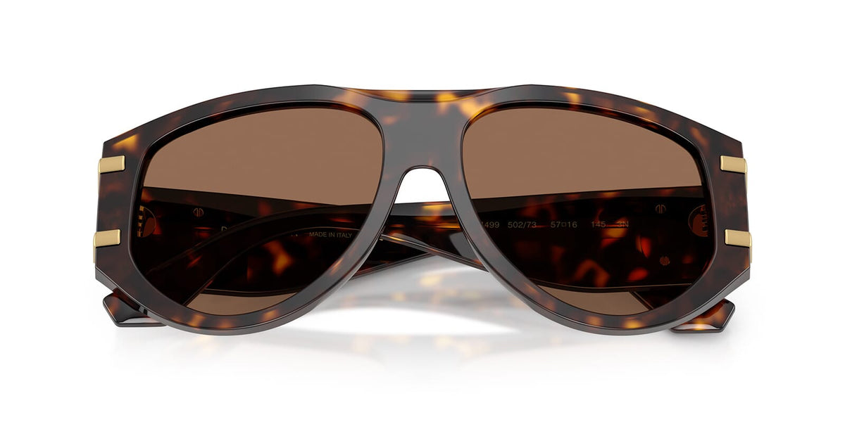 Dolce&Gabbana DG4499 502/73 Sunglasses