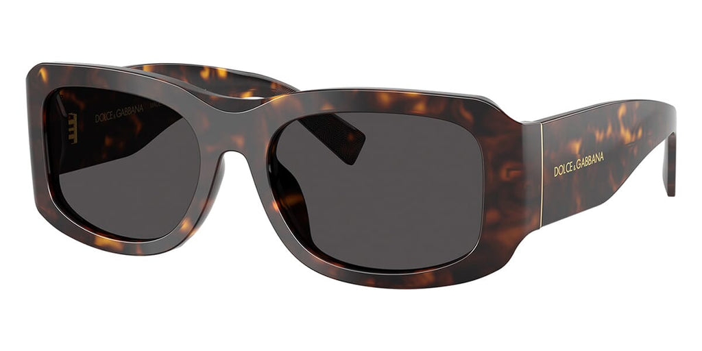 Dolce&Gabbana DG4503 502/87 Sunglasses