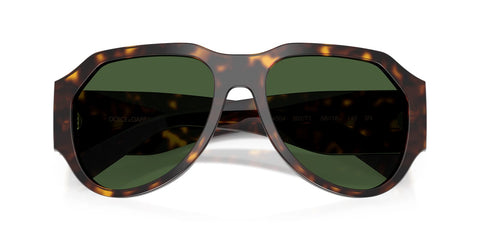 Dolce&Gabbana DG4504 502/71 Sunglasses