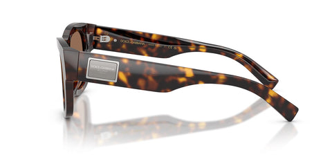 Dolce&Gabbana DG4509 502/73 Sunglasses