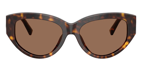 Dolce&Gabbana DG4514 502/73 Sunglasses