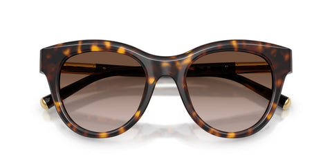 Dolce&Gabbana DG4518 502/13 Sunglasses