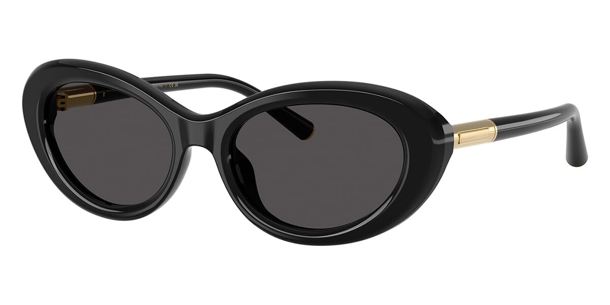 Dolce&Gabbana DG4519 501/87 Sunglasses