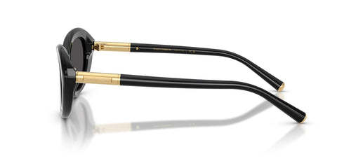 Dolce&Gabbana DG4519 501/87 Sunglasses