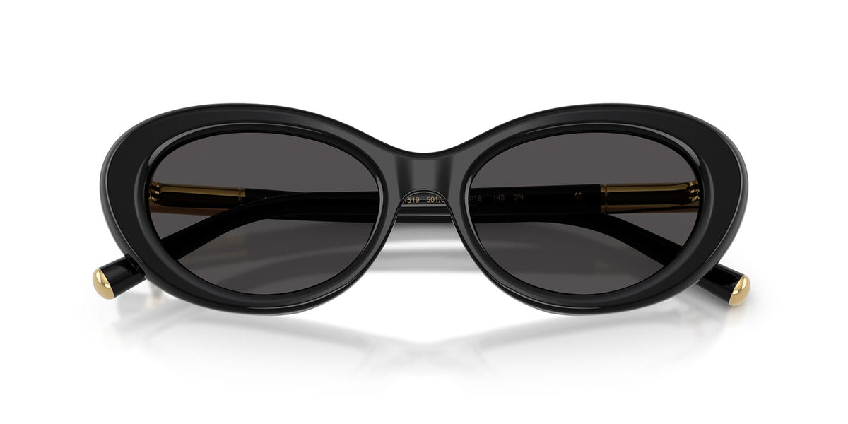 Dolce&Gabbana DG4519 501/87 Sunglasses