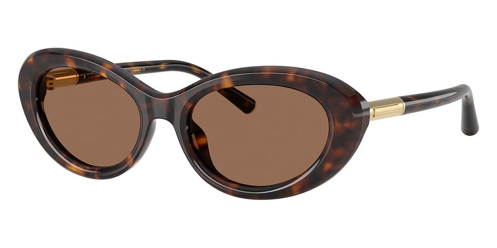 Dolce&Gabbana DG4519 502/73 Sunglasses