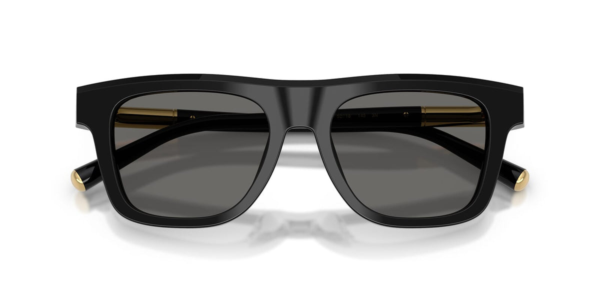 Dolce&Gabbana DG4521 501/1 Sunglasses