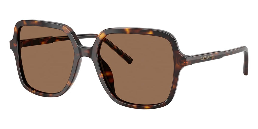Dolce&Gabbana DG4539 502/73 Sunglasses