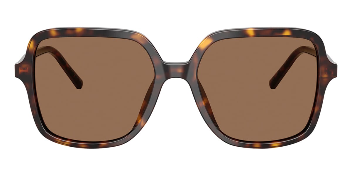 Dolce&Gabbana DG4539 502/73 Sunglasses