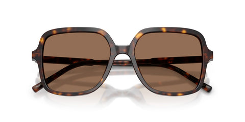Dolce&Gabbana DG4539 502/73 Sunglasses
