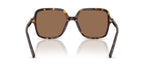 Dolce&Gabbana DG4539 502/73 Sunglasses