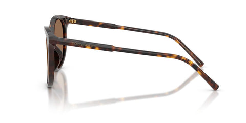 Dolce&Gabbana DG4540 502/13 Sunglasses