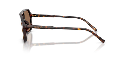 Dolce&Gabbana DG4541 502/73 Sunglasses