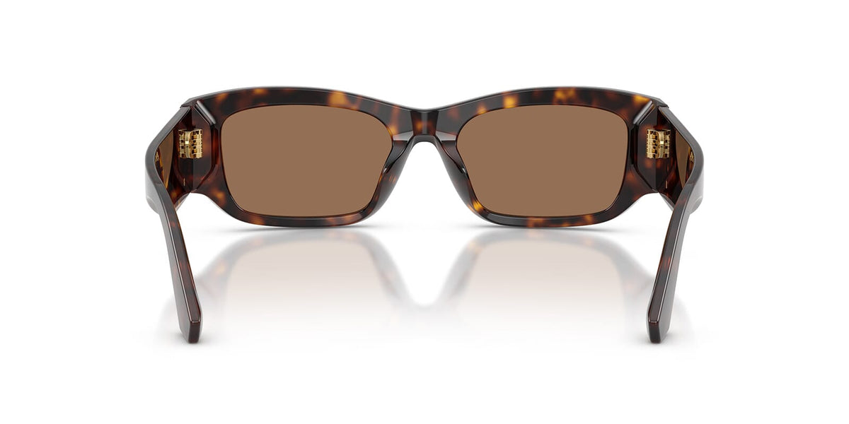 Dolce&Gabbana DG4564 502/73 Sunglasses
