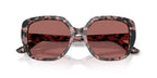 Dolce&Gabbana DG4569 3476/69 Sunglasses
