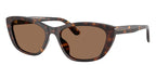 Dolce&Gabbana DG4571 502/73 Sunglasses