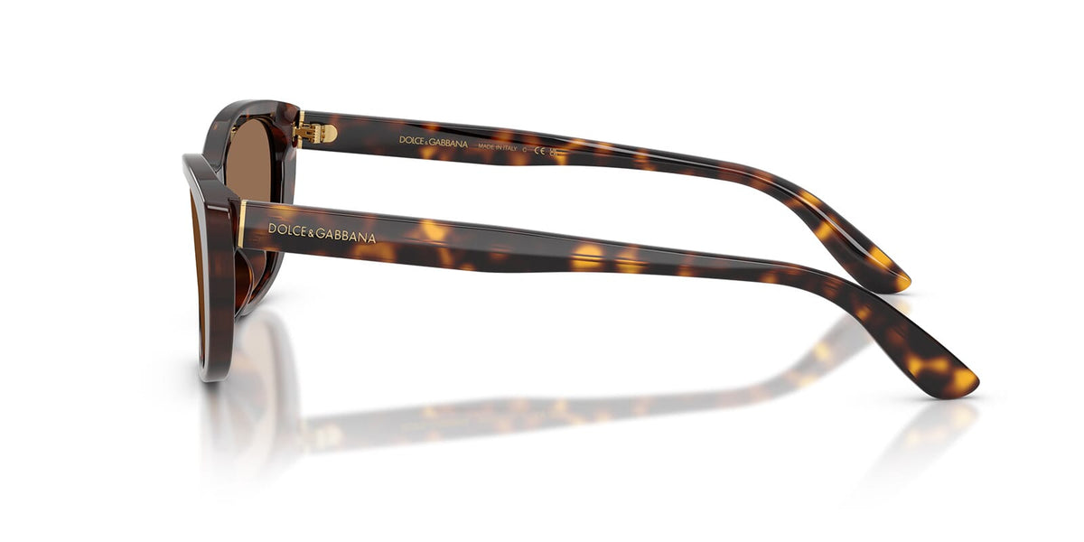 Dolce&Gabbana DG4571 502/73 Sunglasses