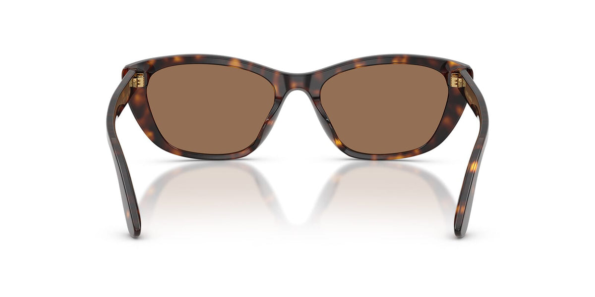Dolce&Gabbana DG4571 502/73 Sunglasses
