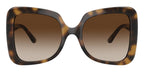 Dolce&Gabbana DG6193U 502/13 Sunglasses