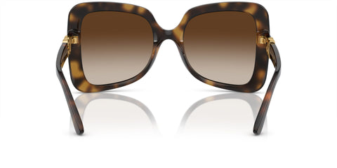 Dolce&Gabbana DG6193U 502/13 Sunglasses