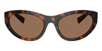 Dolce&Gabbana DG6207 502/73 Sunglasses