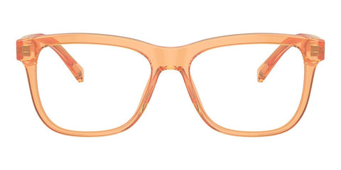 Dolce&Gabbana DX3356 3442 Glasses