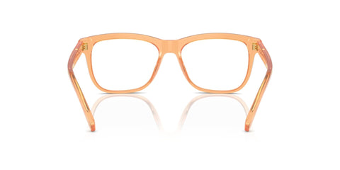 Dolce&Gabbana DX3356 3442 Glasses