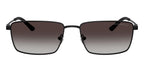 Emporio Armani EA2169 3001/8G Sunglasses