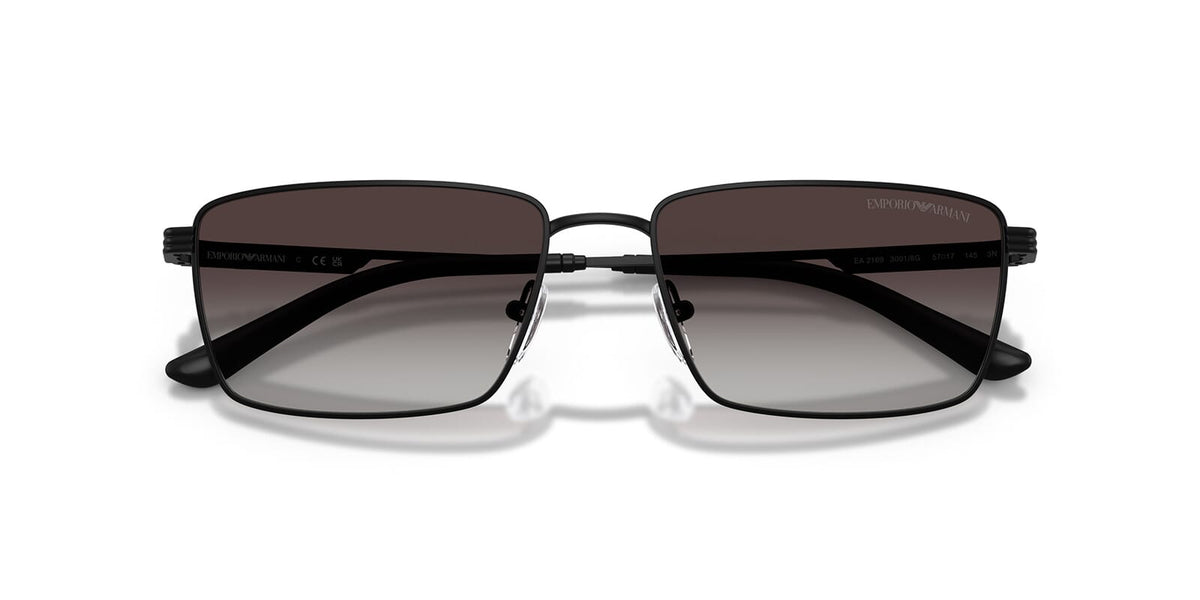 Emporio Armani EA2169 3001/8G Sunglasses