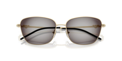 Emporio Armani EA2170 3013/8G Sunglasses