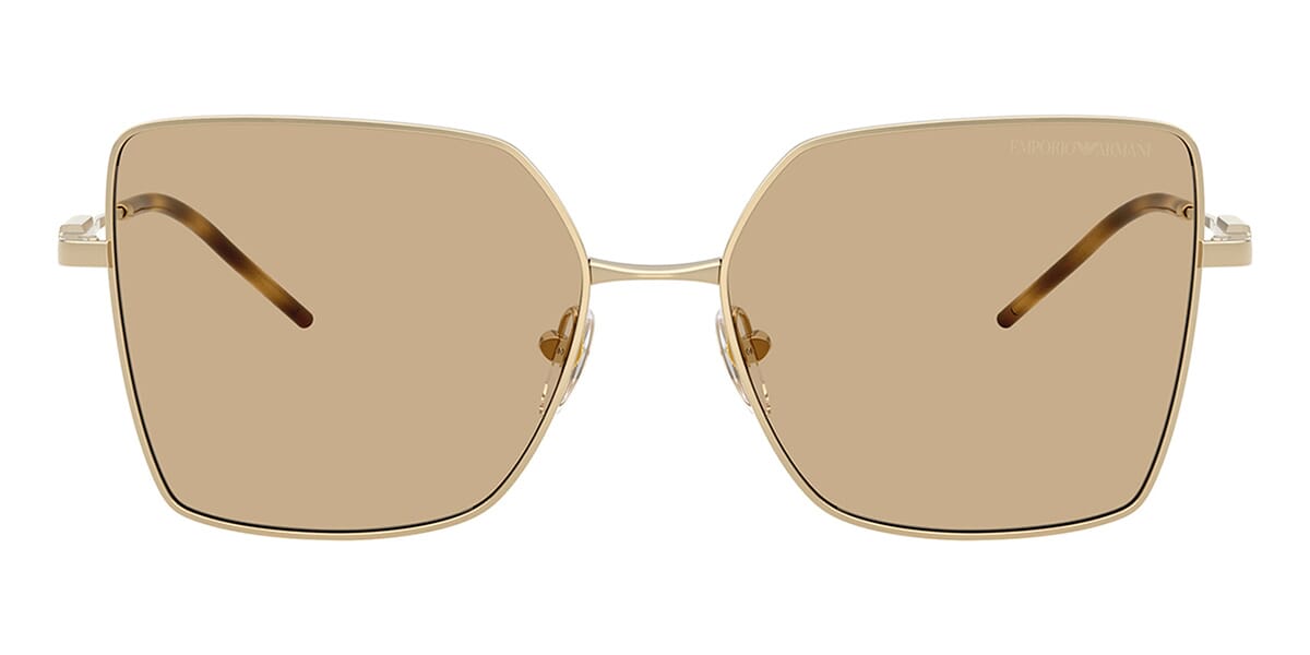 Emporio Armani EA2179 3013/73 Sunglasses