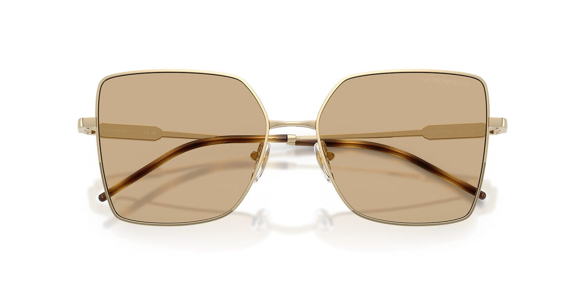 Emporio Armani EA2179 3013/73 Sunglasses